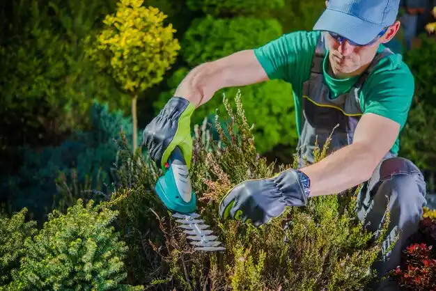 landscaping services Central Square